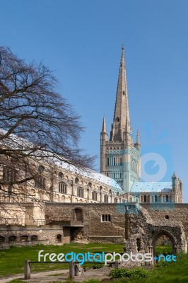 Norwich, Norfolk/uk - April 24 : View Of The Cathedral In Norwic… Stock Photo