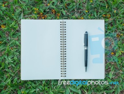 Notebook And Pen On Lawn Stock Photo