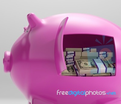 Notes In Piggy Shows Savings And Investment Stock Image