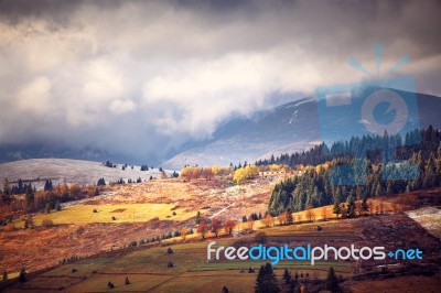 November Foggy Morning In The Hills Stock Photo