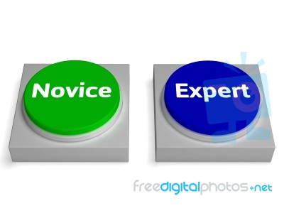 Novice Expert Buttons Shows Beginner And Expertise Stock Image