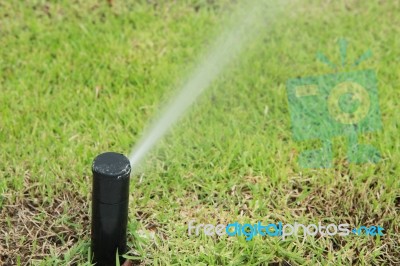 Nozzle Automatic Watering System Stock Photo