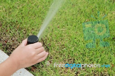 Nozzle Automatic Watering System Stock Photo