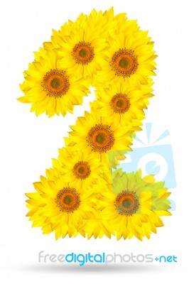 Number 2 Made Of Sunflower Stock Photo