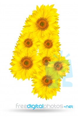 Number 4 Made Of Sunflower Stock Photo