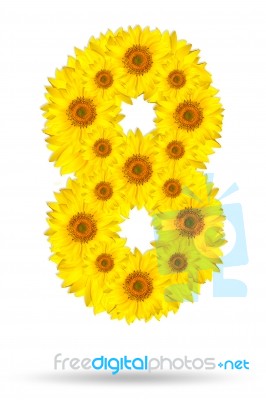 Number 8 Made Of Sunflower  Stock Photo