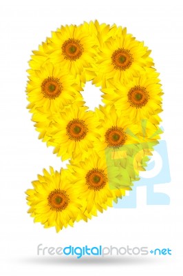 Number 9 Made Of Sunflower Stock Photo