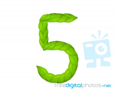 Number Five Made Of Leaves Stock Photo