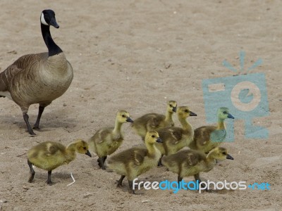 Nursery School Stock Photo