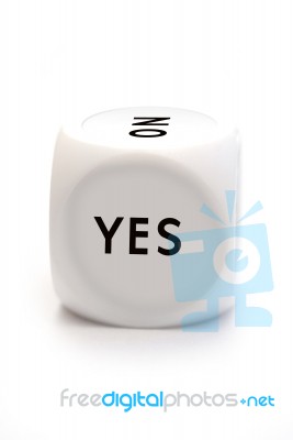 Nut With The Words Yes Or No Stock Photo