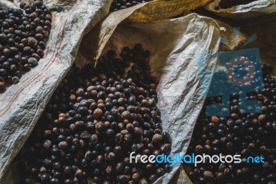 Nutmeg Picked And Put Out To Dry With Shell Stock Photo