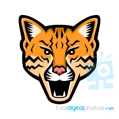 Ocelot Head Front Mascot Stock Image