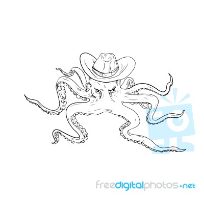 Octopus Wearing Cowboy Hat Drawing Stock Image