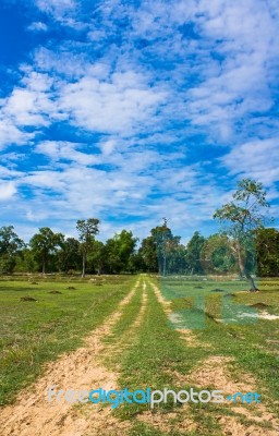 Off Road Track Stock Photo