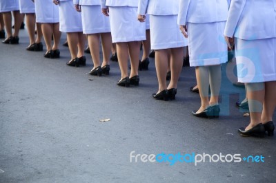 Officer Standing Line Up Stock Photo