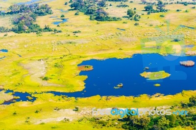 Okavango Delta Aerial View Stock Photo