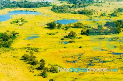 Okavango Delta Aerial View Stock Photo