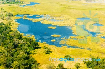 Okavango Delta Aerial View Stock Photo