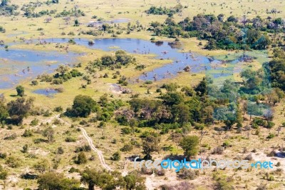 Okavango Delta Aerial View Stock Photo