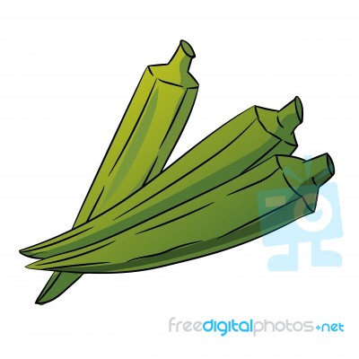 Okra, Ladys Finger Cartoon -  Illustration Stock Image