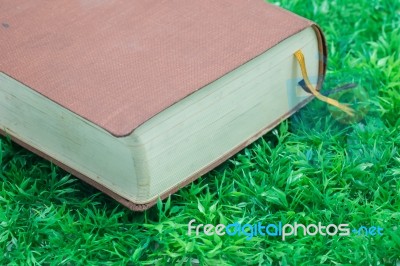 Old Book On The Grass Stock Photo