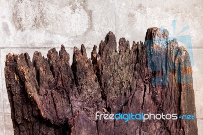 Old Brown Log Stock Photo