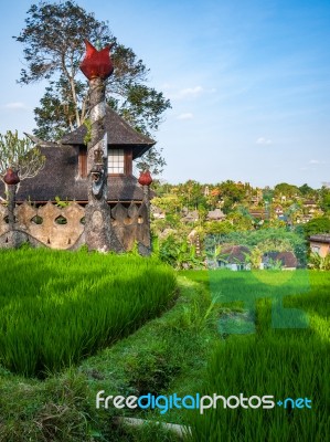 Old Building In Indonesian Rice Field Stock Photo