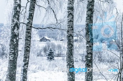 Old Cemetery At Abandoned  Village Stock Photo