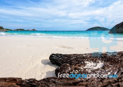 Old Driftwood At The Beach On Island In Thailand Stock Photo