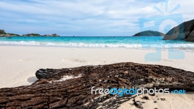 Old Driftwood At The Beach On Island In Thailand Stock Photo