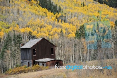 Old House In Autumn Forest Stock Photo