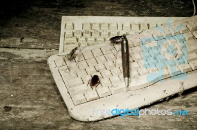 Old Keyboard Stock Photo