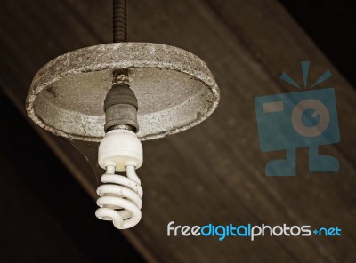 Old Light Bulb Stock Photo