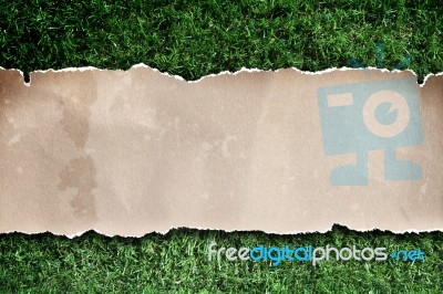 Old Paper On Grass Stock Photo