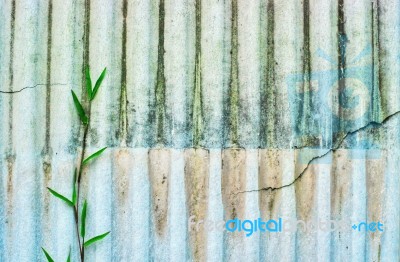 Old Roof Texture With Grass Stock Photo