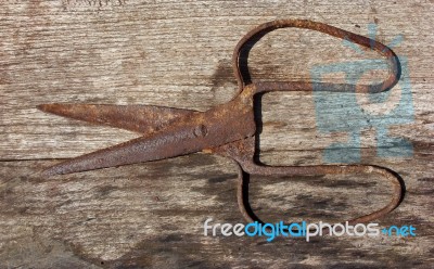 Old Rusty Scissors Stock Photo