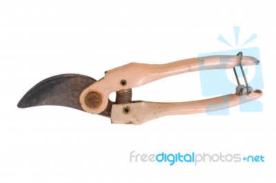 Old Salmon-colored Secateurs Stock Photo