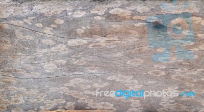 Old Wood Background Texture Stock Photo