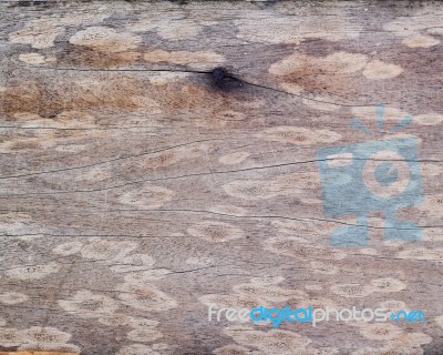 Old Wood Background Texture Stock Photo