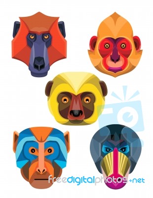 Old World Monkeys Flat Icon Collection Stock Image