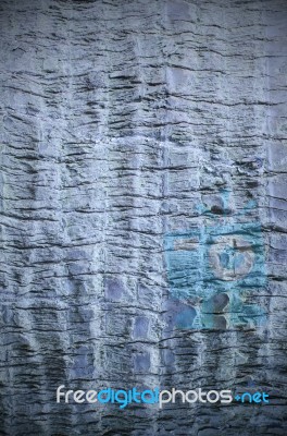 Olive Tree Bark Background Texture Blue Color Effect Stock Photo