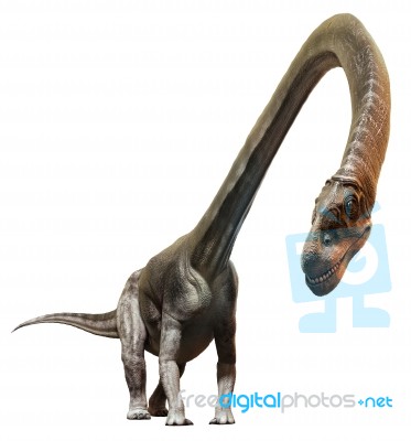 Omeisaurus Stock Image