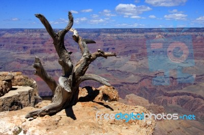 On The Canyon Edge Stock Photo