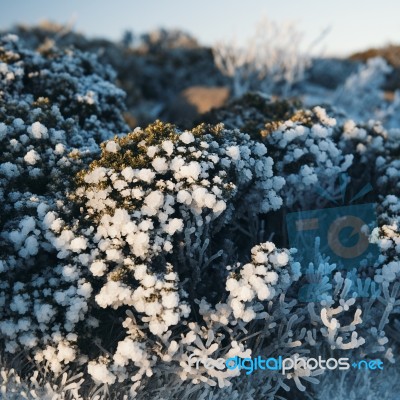 On Top Of Mount Wellington In Hobart, Tasmania During The Day Stock Photo