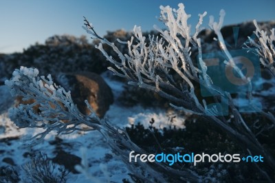 On Top Of Mount Wellington In Hobart, Tasmania During The Day Stock Photo