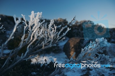 On Top Of Mount Wellington In Hobart, Tasmania During The Day Stock Photo