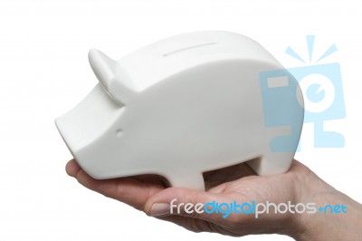 One Piggy Bank Stock Photo