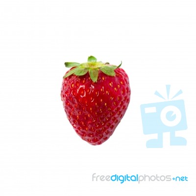 One Strawberry Stock Photo