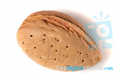 One Sweet Almond Stock Photo