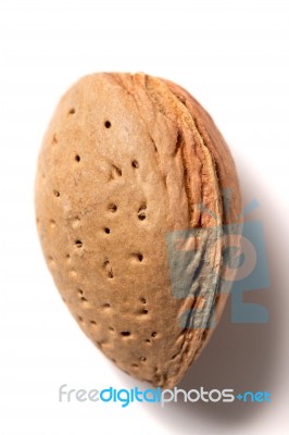 One Sweet Almond Stock Photo